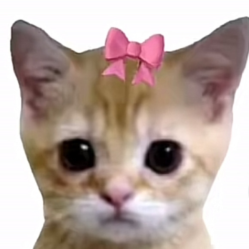 Meet your Posher, Shelby